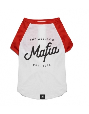 MAC TODESCHINI OVOS PENA 500G