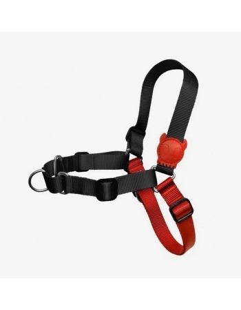 NATURAL TEA MAG LATA CHA VERDE C LAR E GENG 335ML