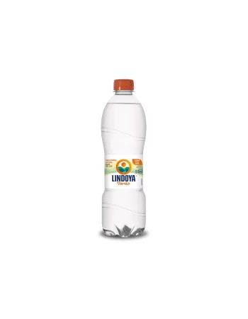 ABS INTIMUS NOTURNO C/8 C/ABAS SUAVE