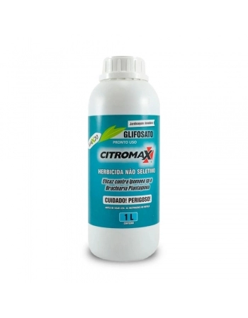 MOEDA CHOCOLATE BEL 150G