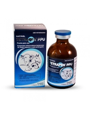 BARRA NOIG PAVLOVA 12X130G