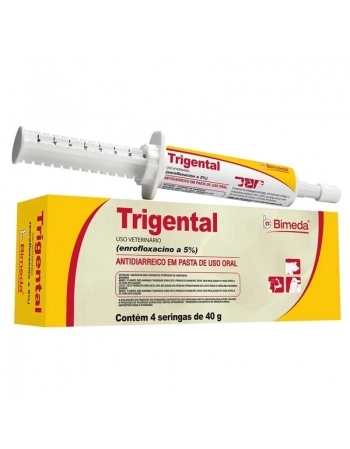 AMOR CARIOCA GO 18X40G