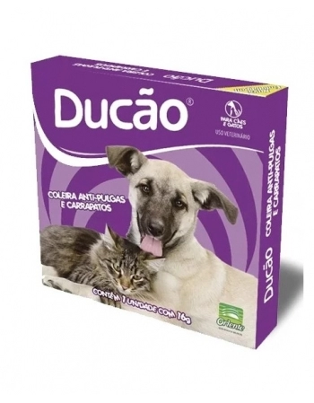 AMOR CARIOCA BRANCO GO