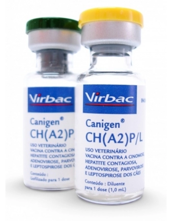 MINIBOLO RENATA DIVERT BAUN CHOC 20X40G