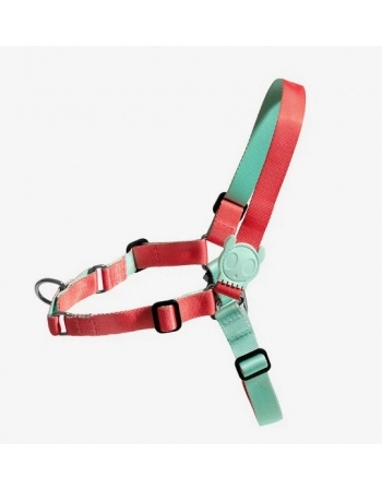 PASSAS COBERTAS PAN DP 12X50G